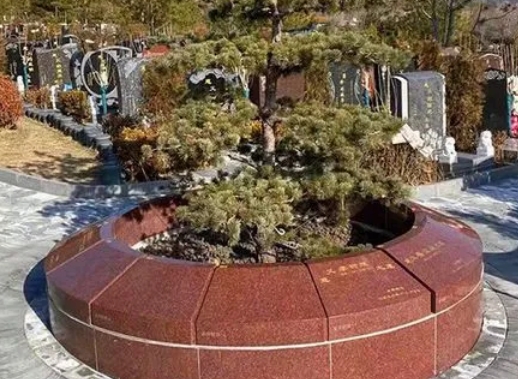 天寿陵园生态葬价格便宜吗?