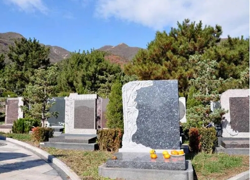 天寿陵园班车路线